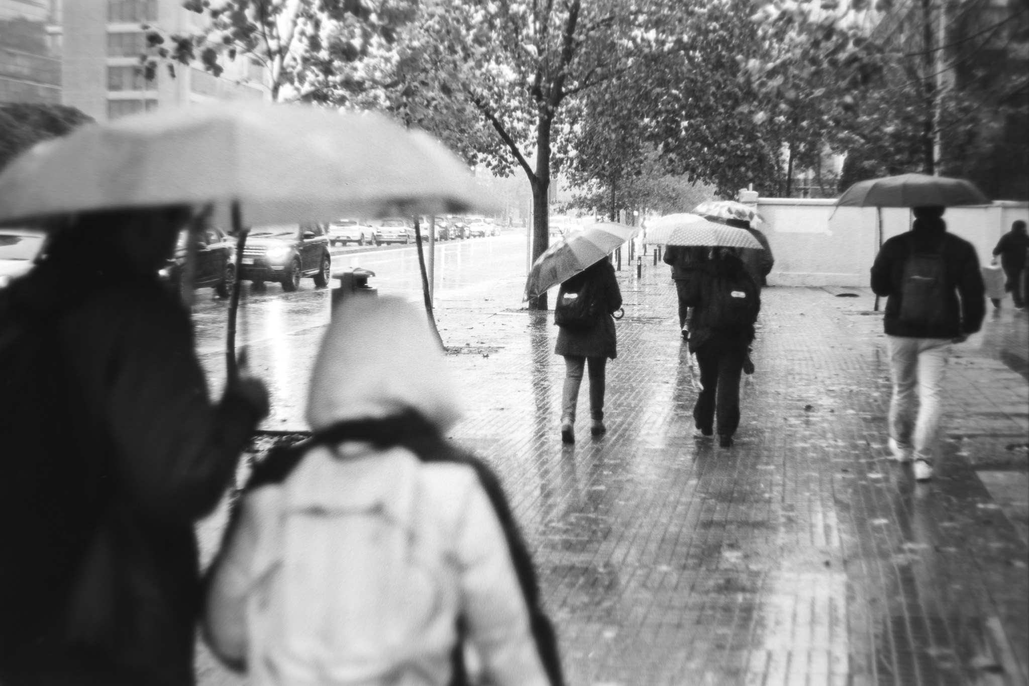 Plain Rain — foto de @fvv en el concurso de Fotomica