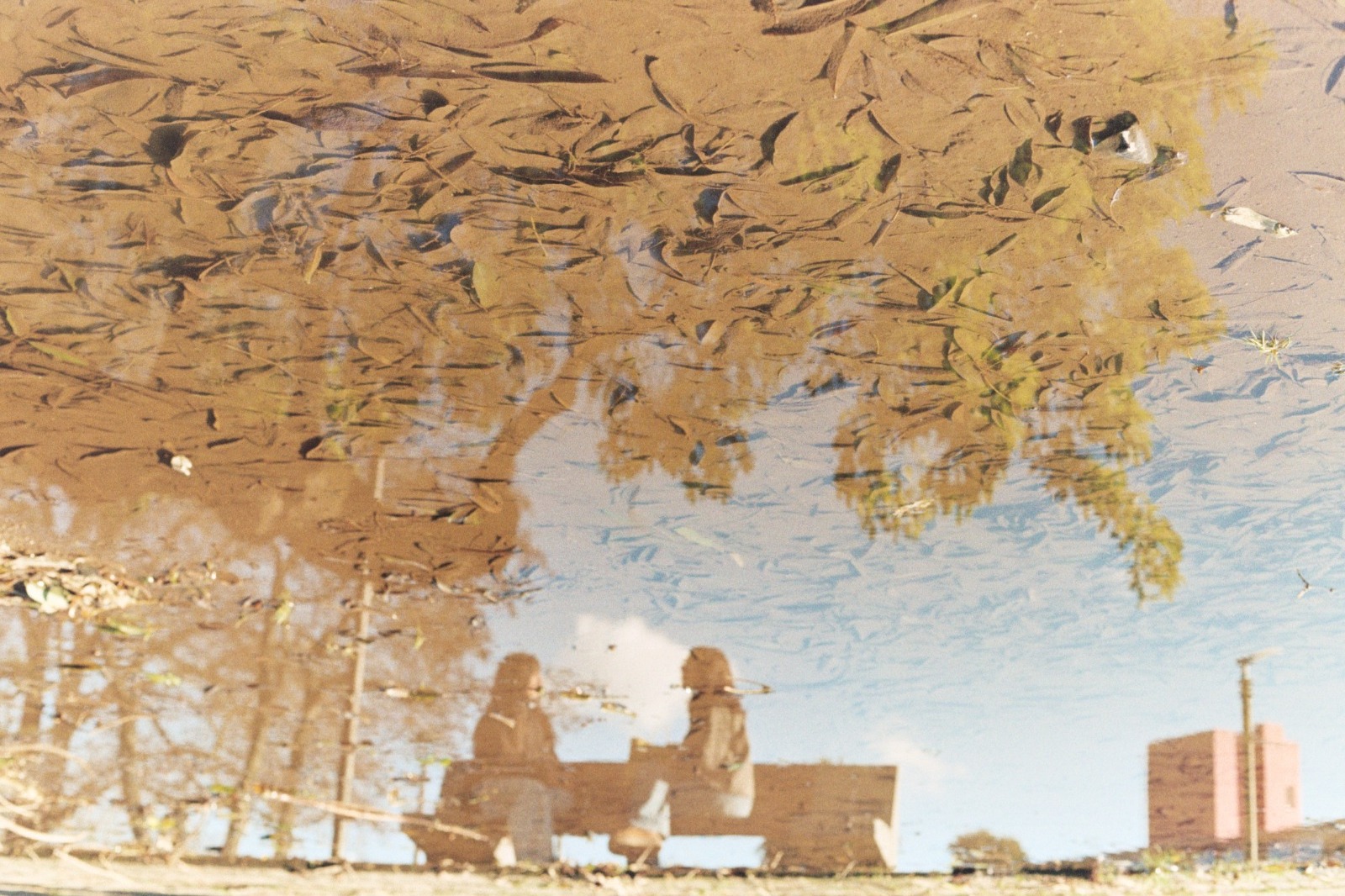 El reflejo que dejó la lluvia — foto de @netopincheira en el concurso de Fotomica