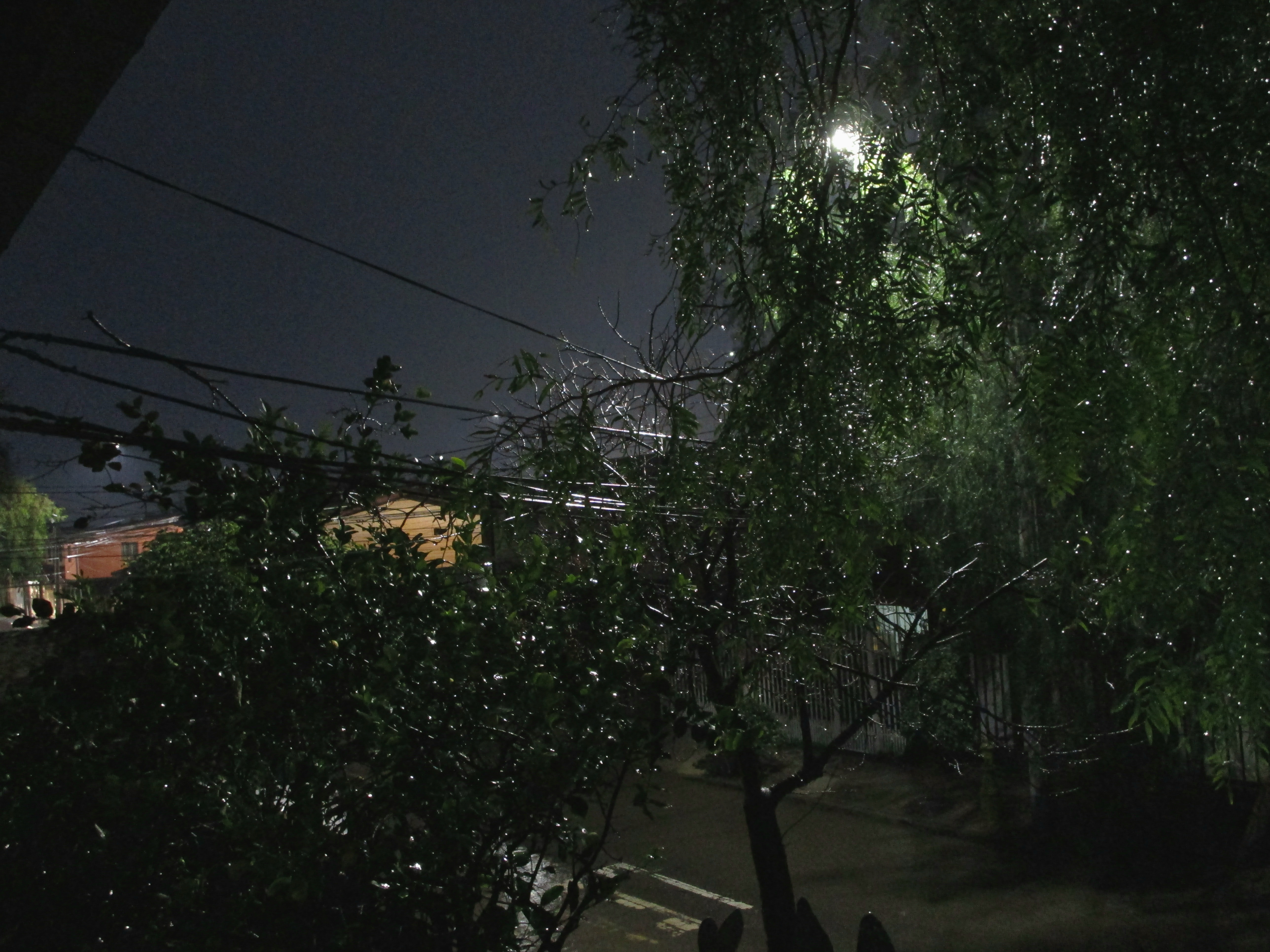 Entre gotas y sombras — foto de @Nayunn_x en el concurso de Fotomica