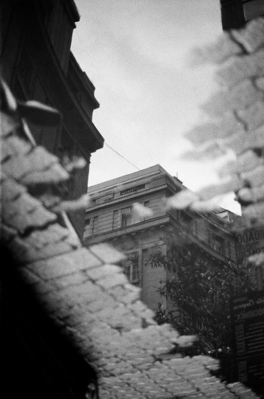 Poza — foto de @sifuenzag en el concurso de Fotomica