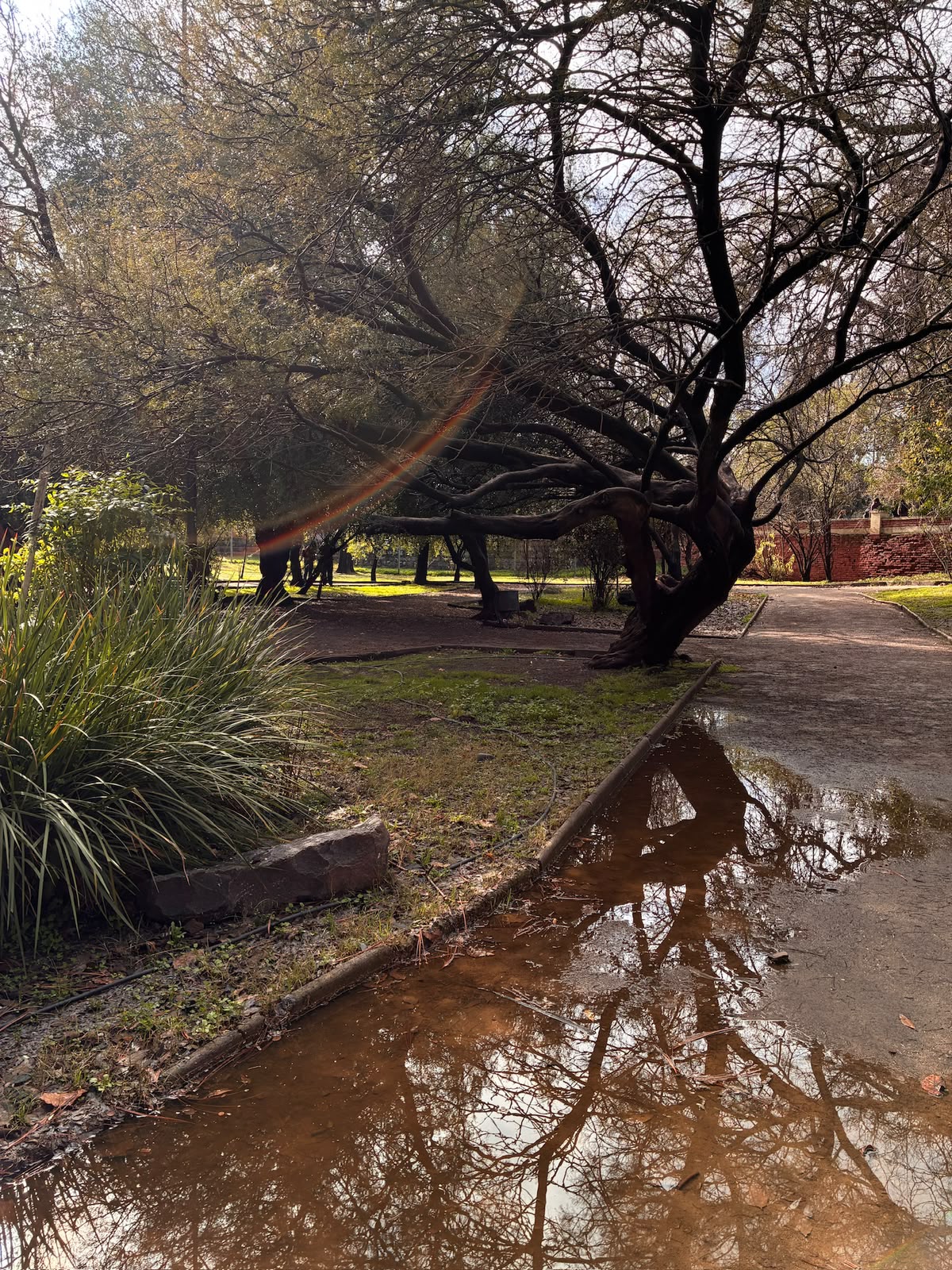 lluvia en pausa — foto de @kiki en el concurso de Fotomica