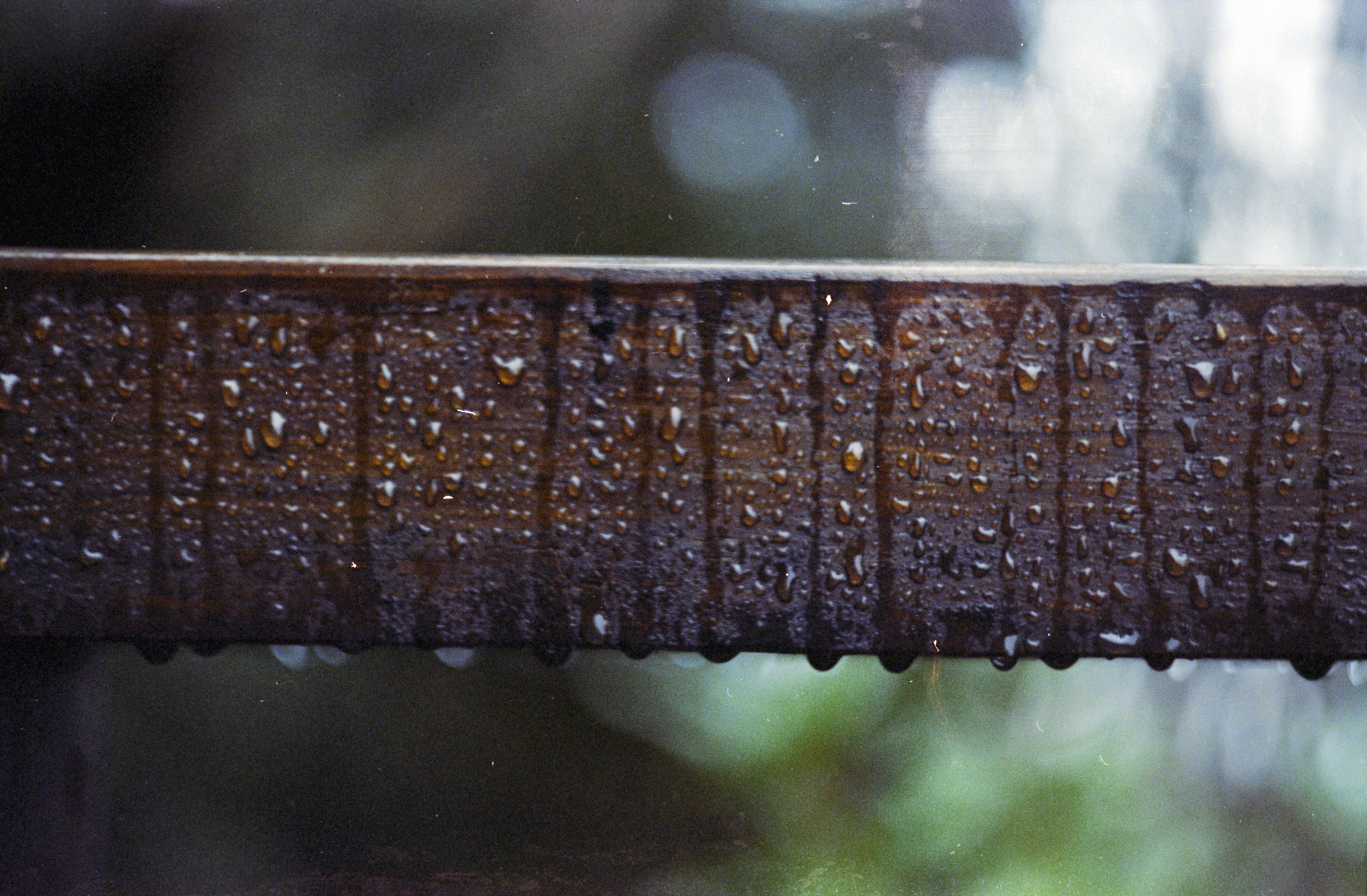 Lluvia sureña en madera — foto de @tomissing en el concurso de Fotomica