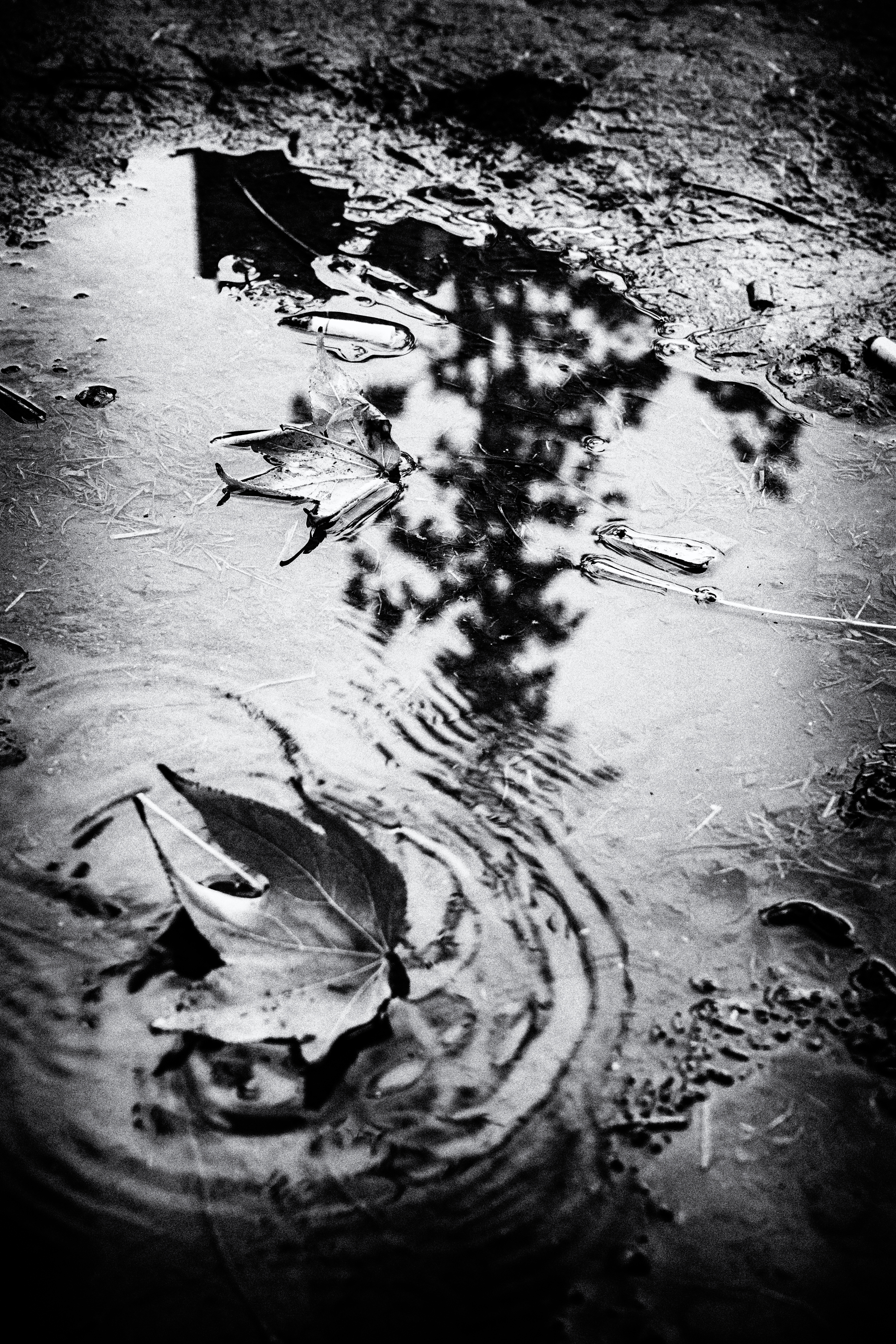 Ondas — foto de @danilfotos en el concurso de Fotomica