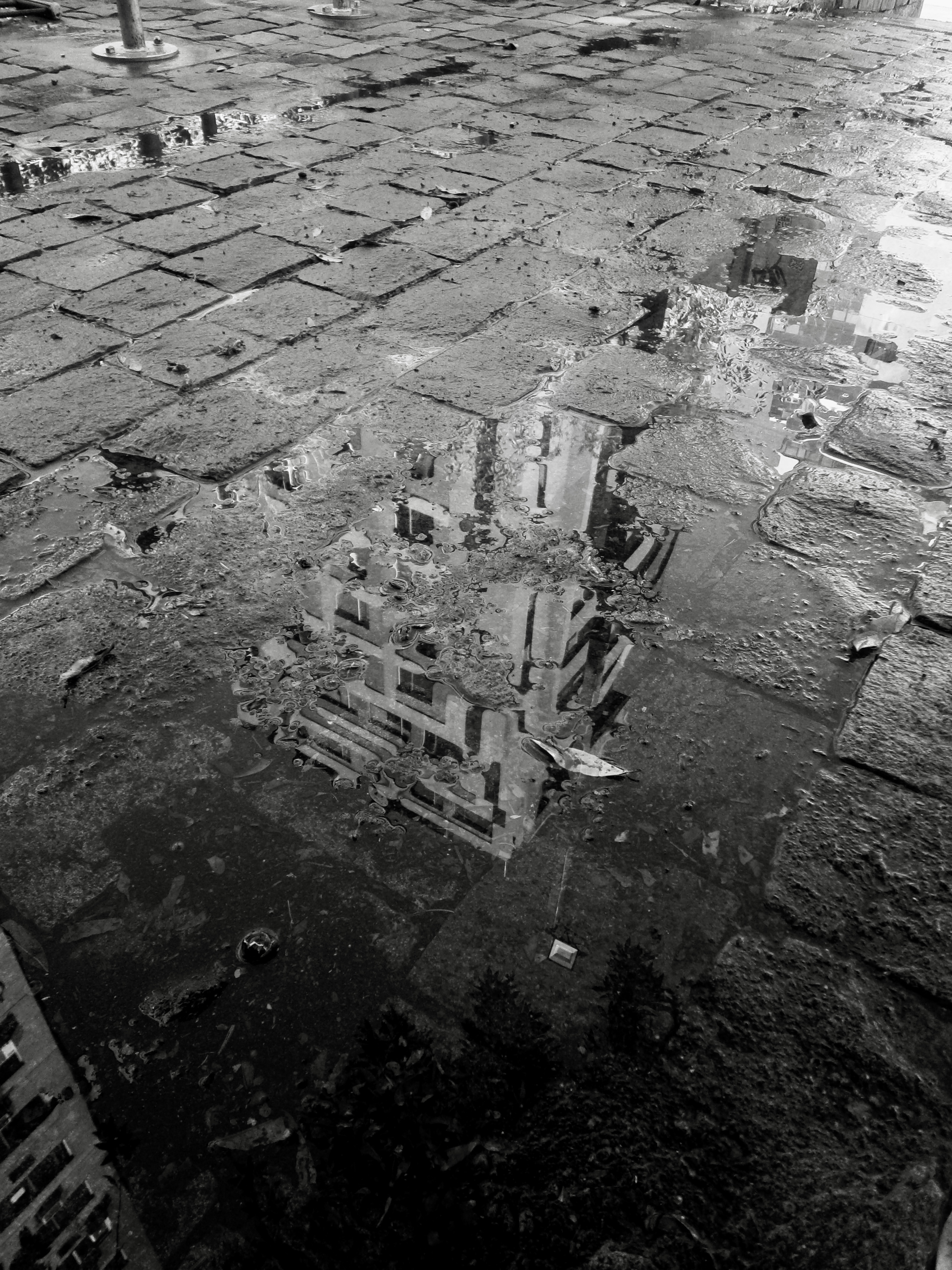Reflejo — foto de @Tomás en el concurso de Fotomica