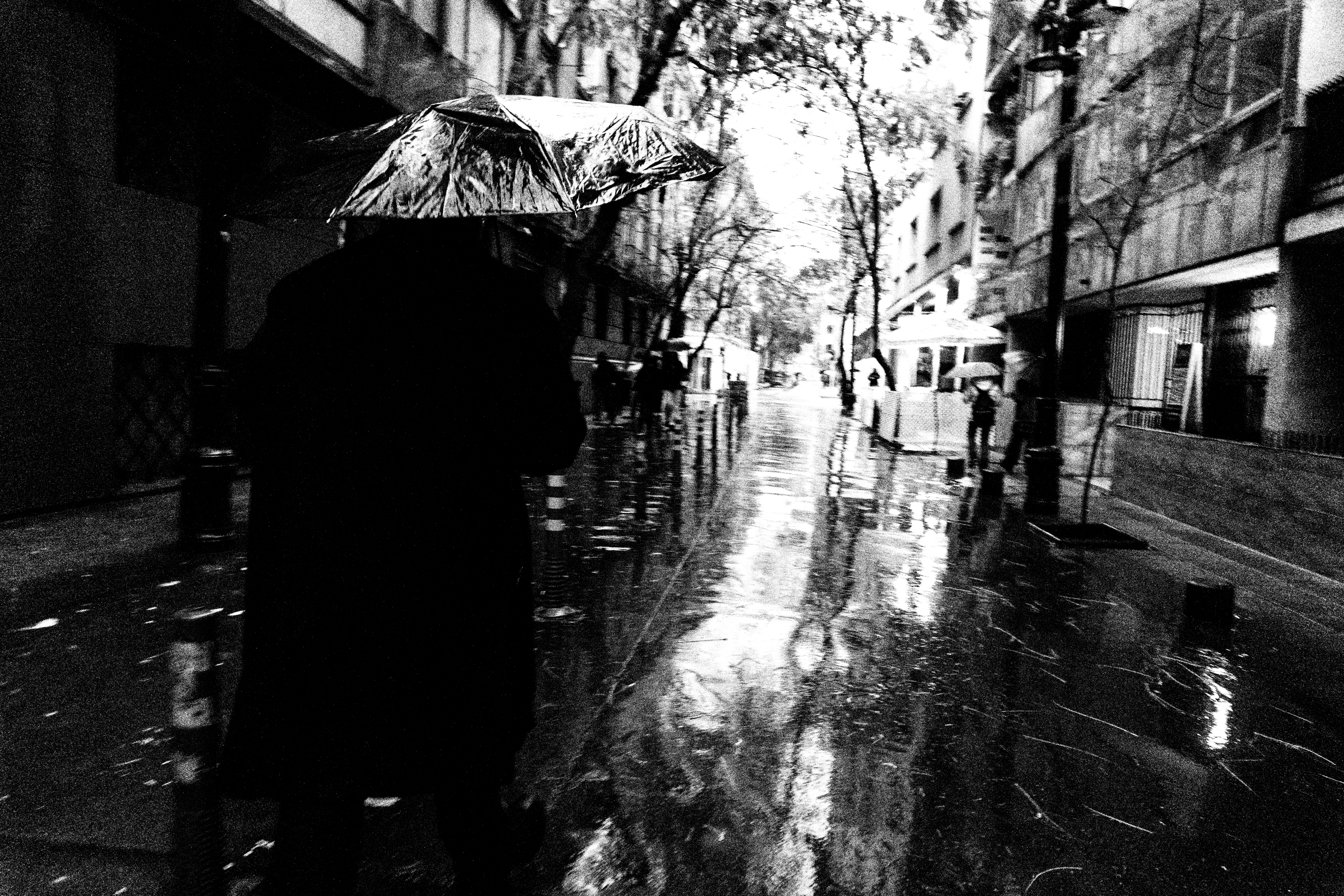 toda  lluvia  es  un  poema  triste — foto de @Gabriel.GP en el concurso de Fotomica