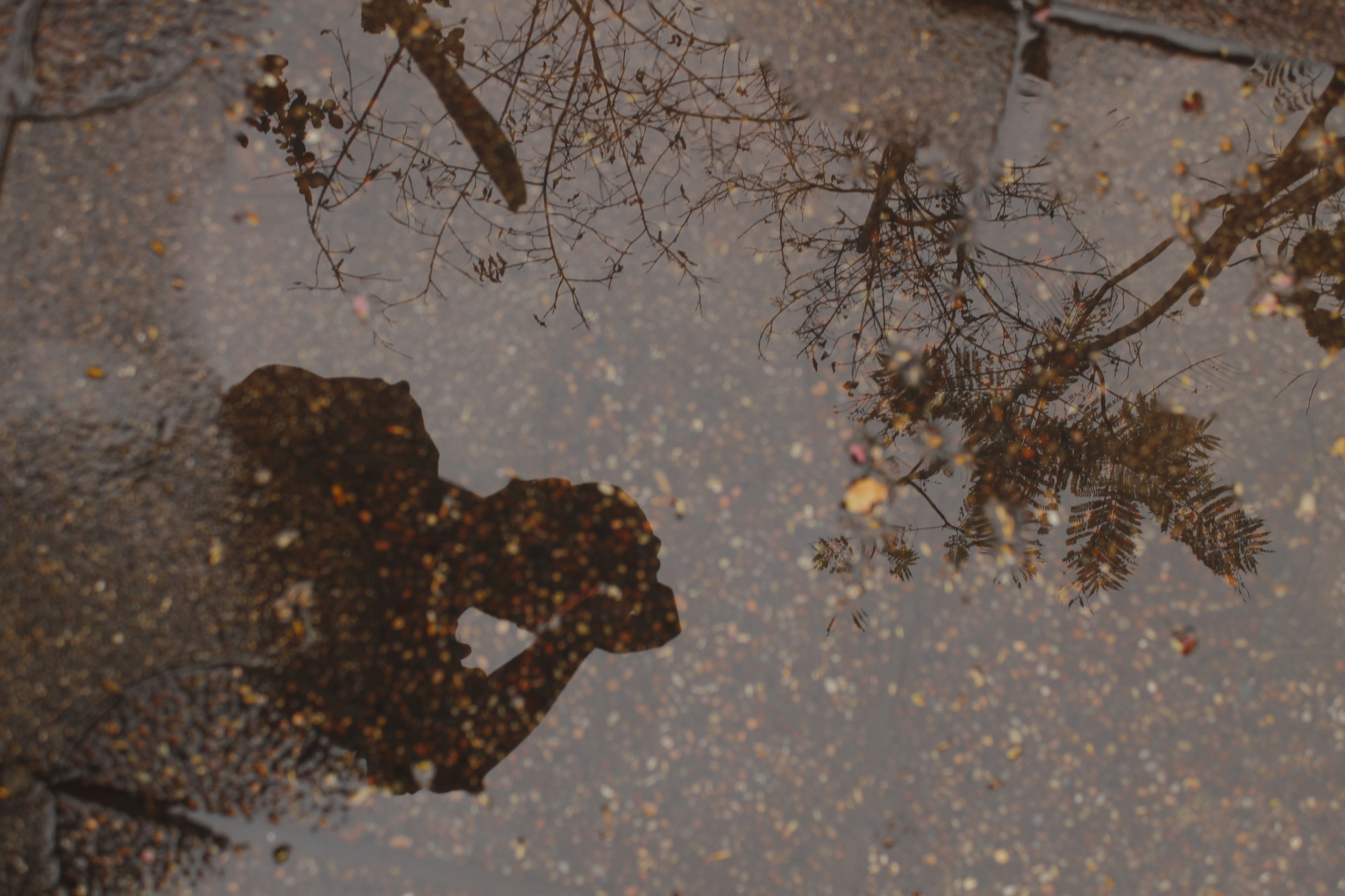 Pos lluvia aparezco — foto de @tian.vlay en el concurso de Fotomica