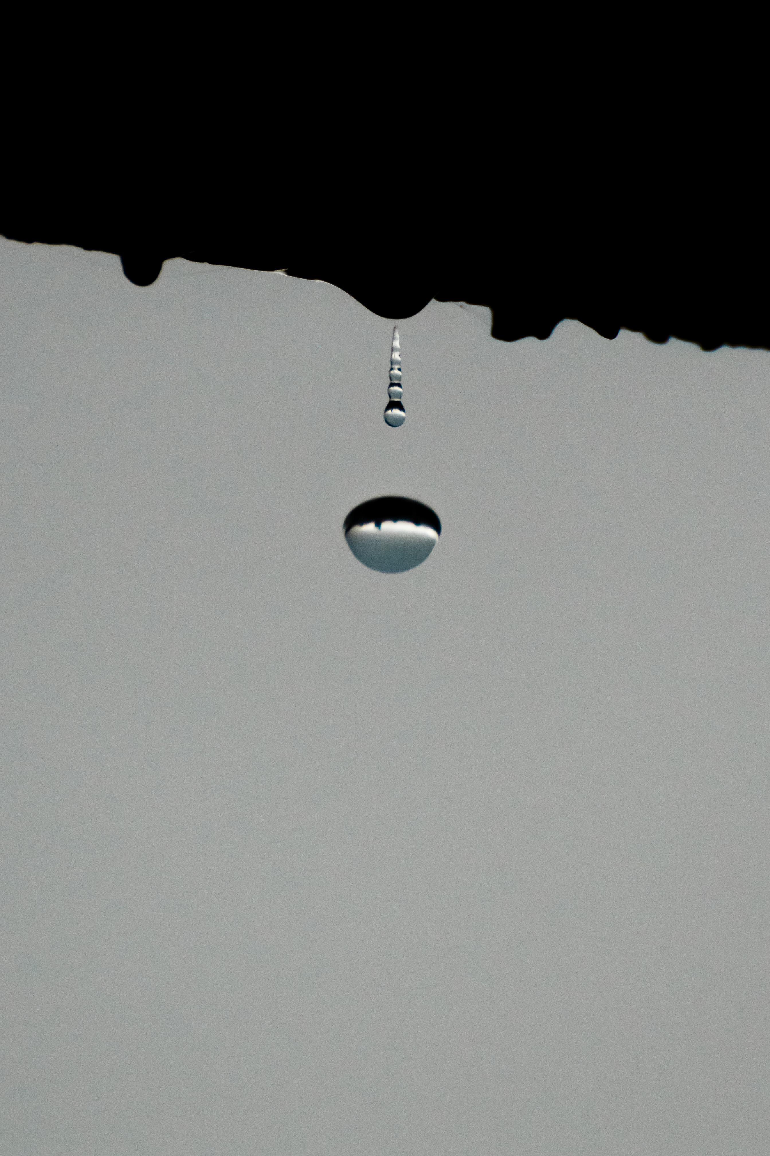 Gotitas de lluvia — foto de @alcriba en el concurso de Fotomica