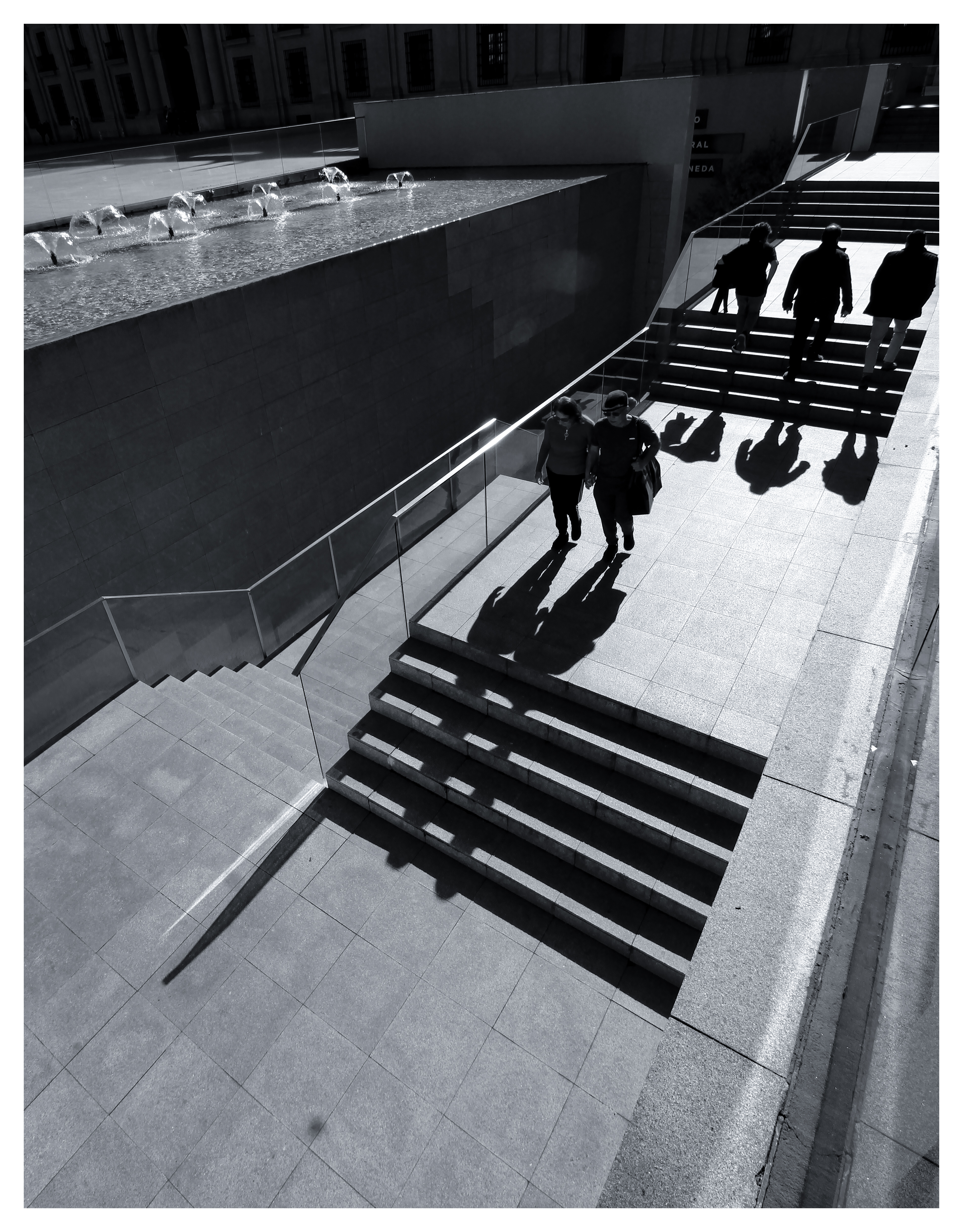 Foto de @pablo_velasquez.p en el concurso mensual de Fotomica