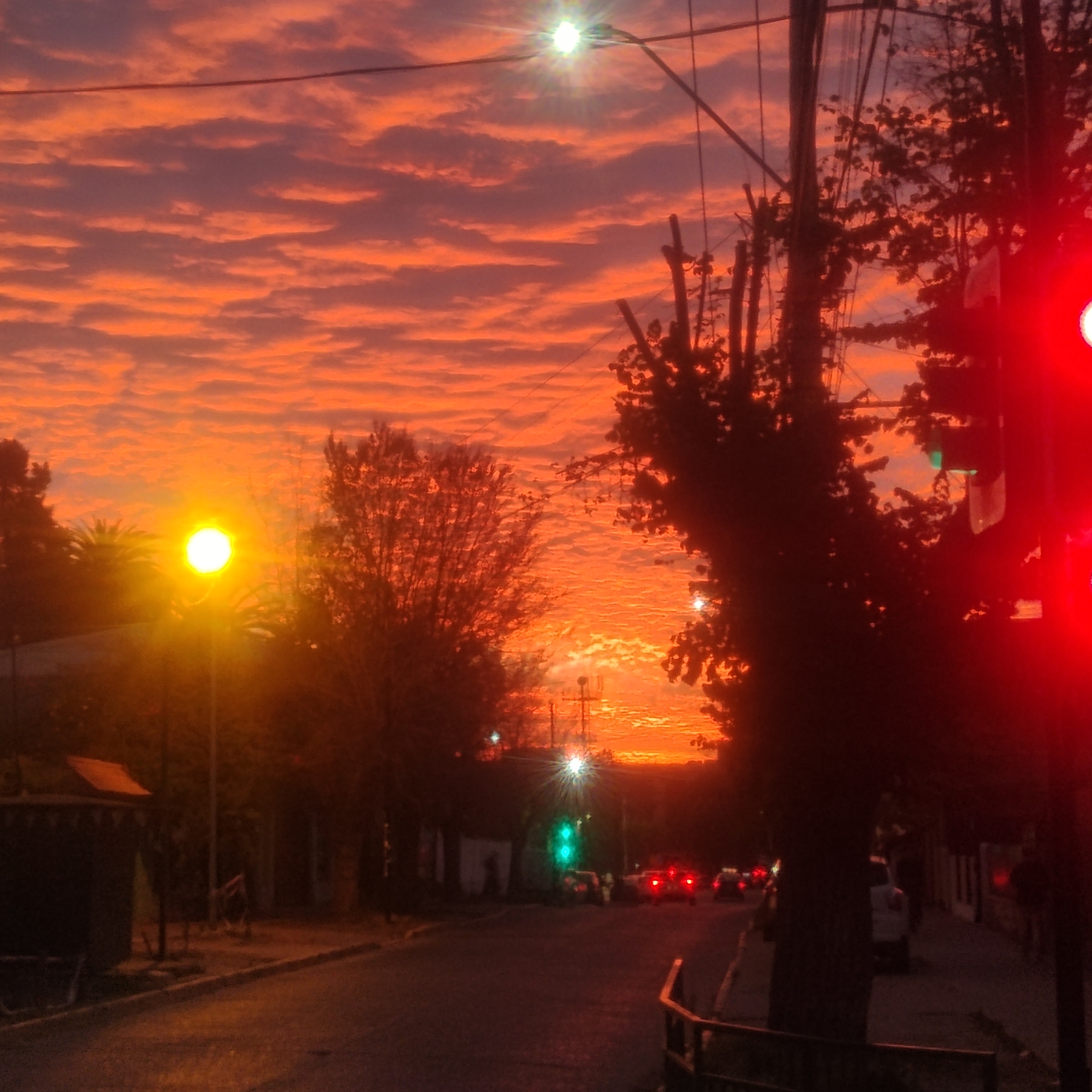 Placidez — foto de @trrr en el concurso de Fotomica