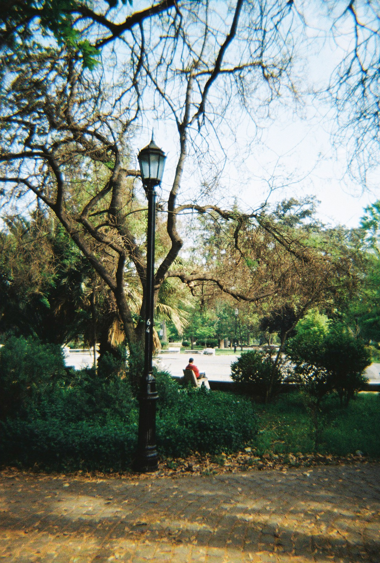 Lector en la Quinta — foto de @javieririarterj en el concurso de Fotomica