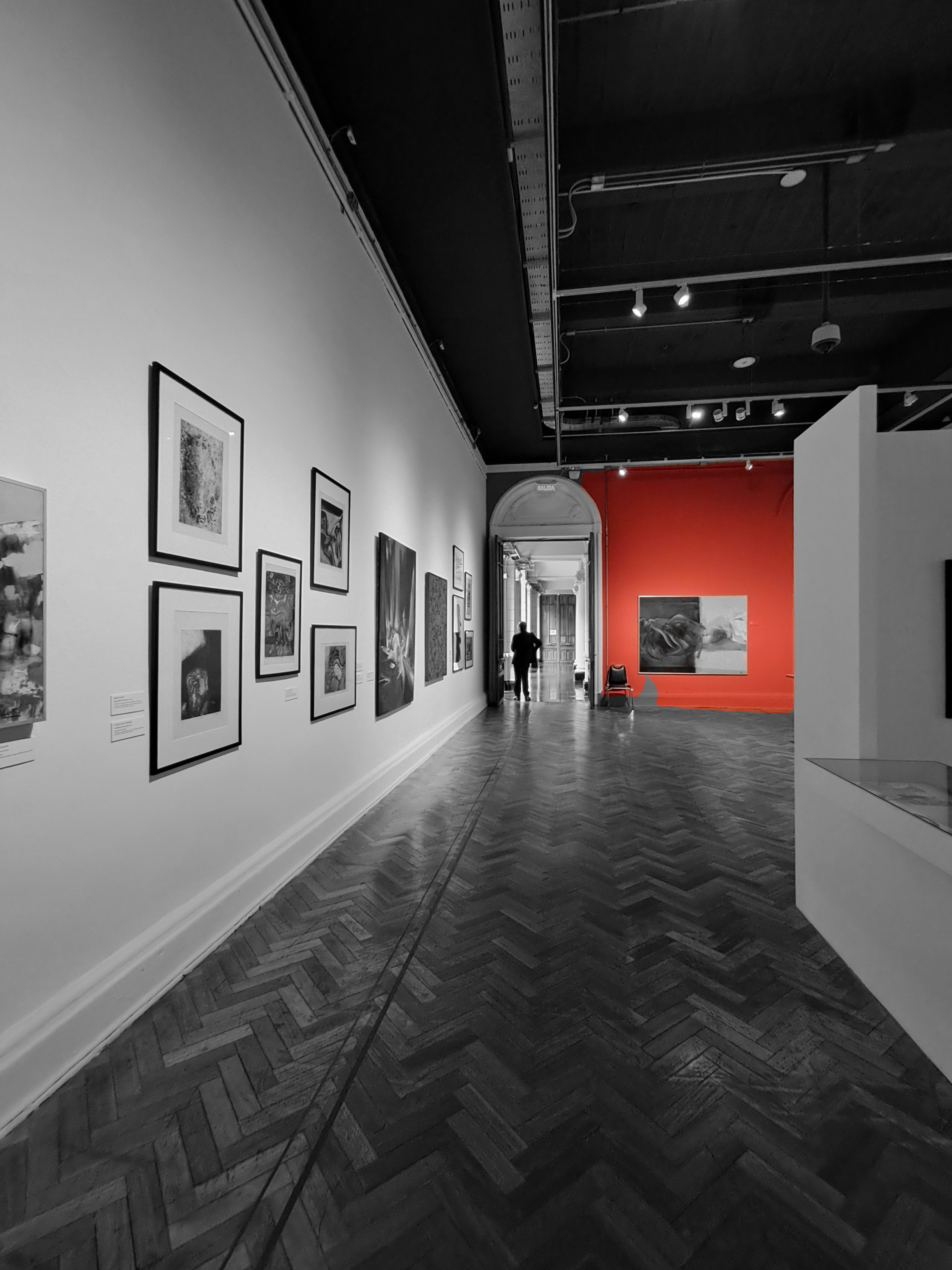 Arte selectivo  — foto de @pfranco en el concurso de Fotomica