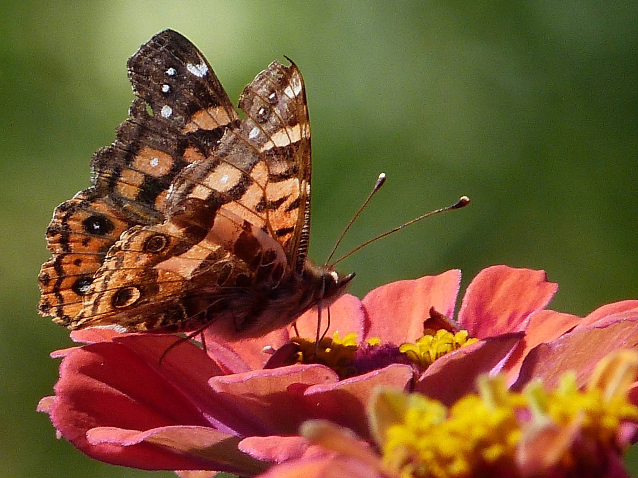Polen — foto de @mauricio_mdos en el concurso de Fotomica