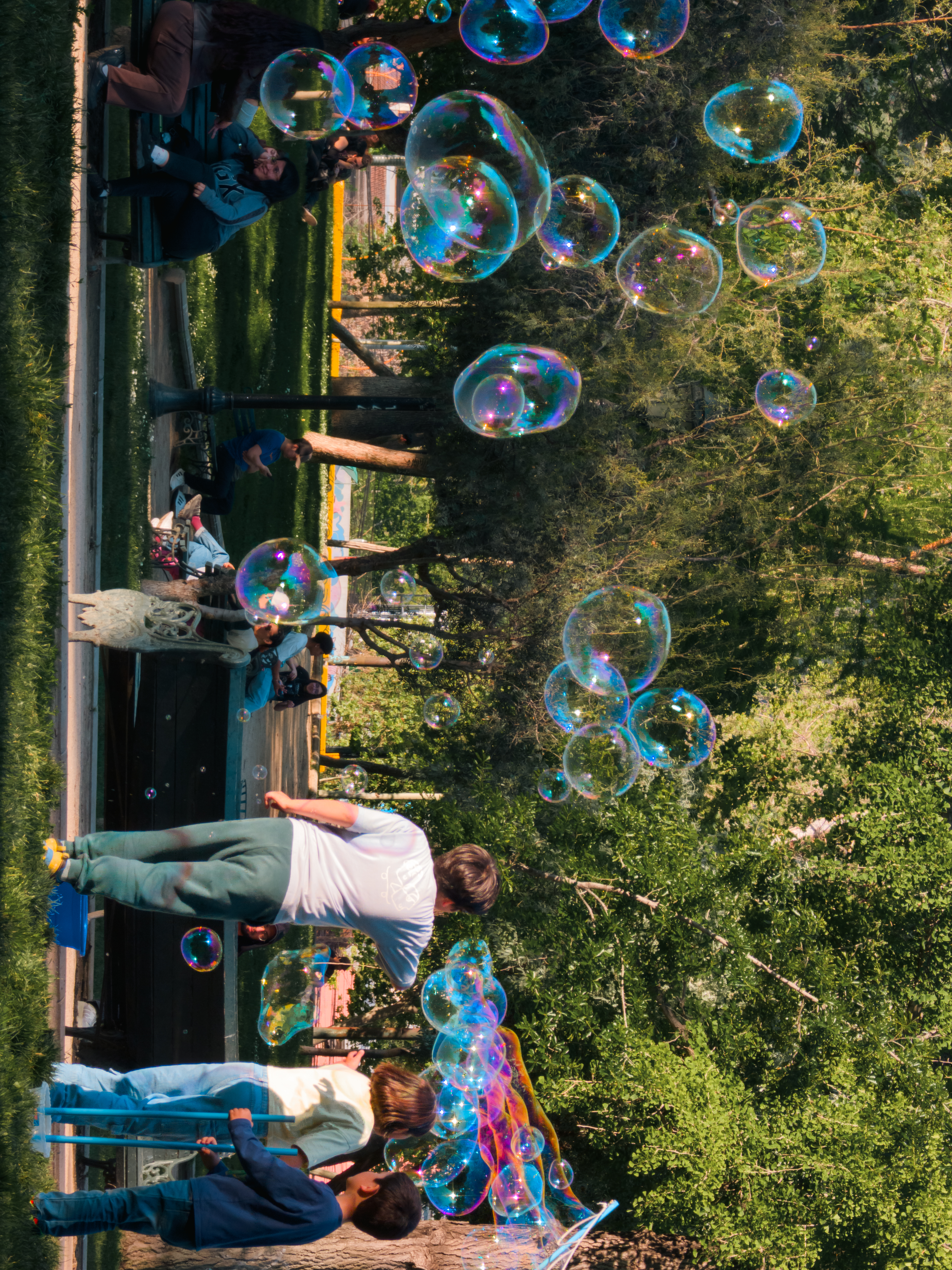 Un parque de conversaciones y burbujas — foto de @daniels en el concurso de Fotomica