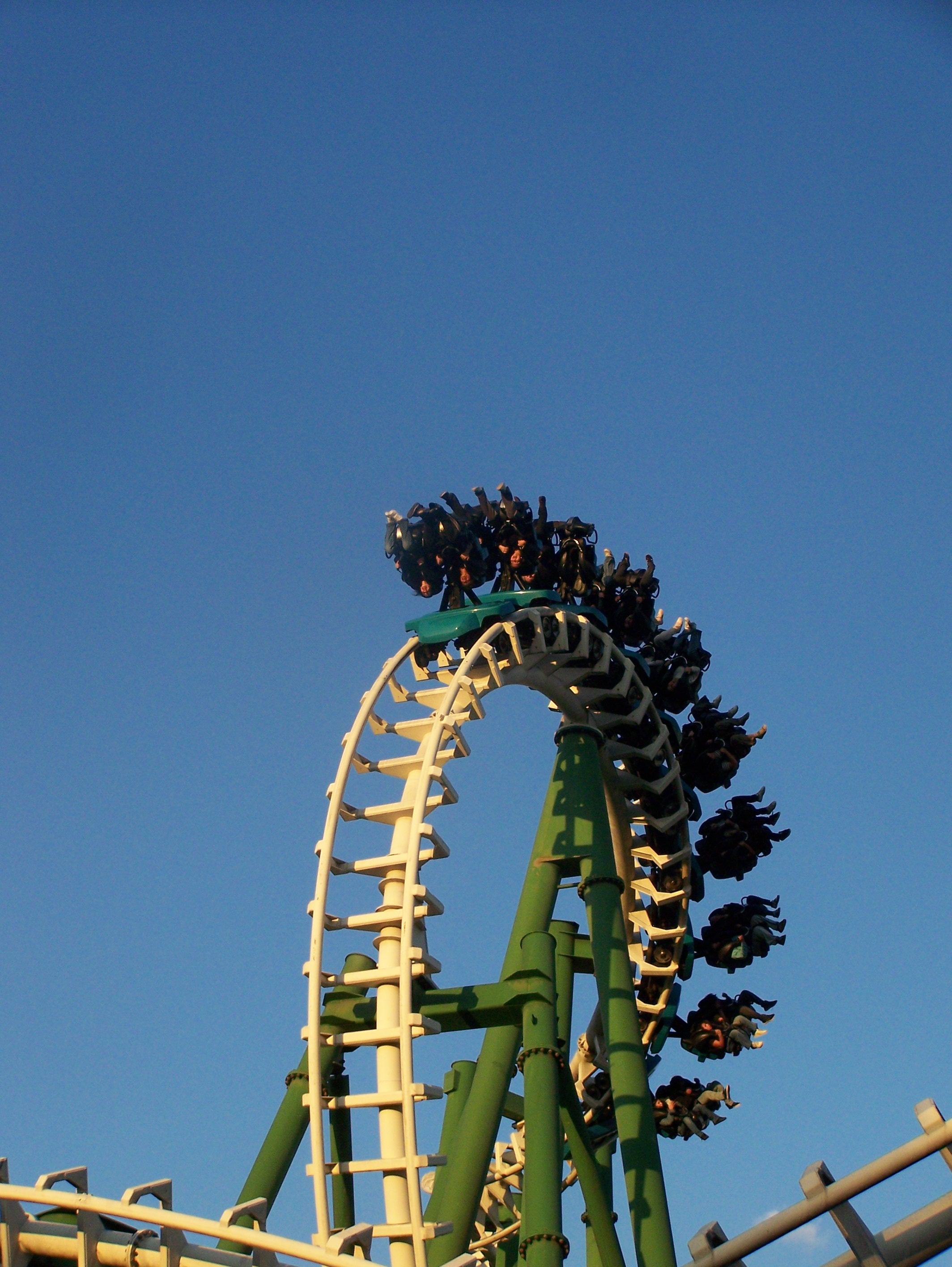 Raptor — foto de @benjachespin@gmail.com en el concurso de Fotomica