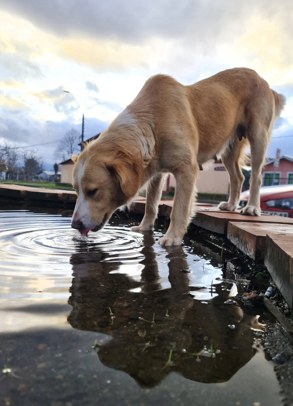 “El agua no pregunta de quién eres” — foto de @penumbra_dark en el concurso de Fotomica